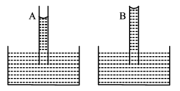 Mechanical Properties of Solids and Fluids mcq option image